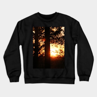 Sunset Through Pines Crewneck Sweatshirt